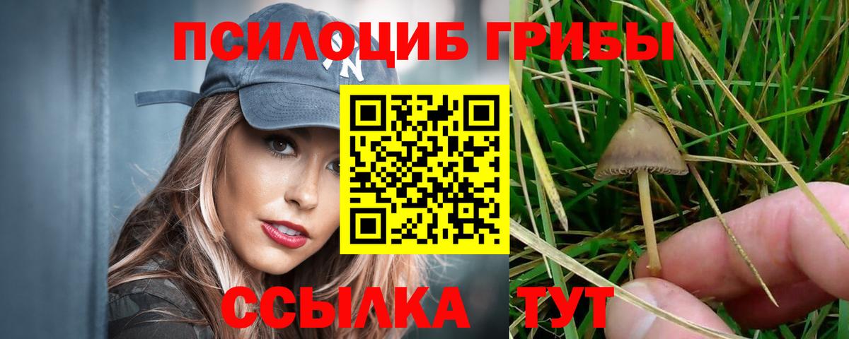 Галлюциногенные грибы GOLDEN TEACHER  Вход с VPN  цены наркотик  Кызыл 